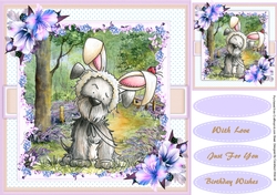 Bella Bunny Boo in the Garden