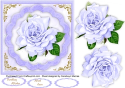 Beautiful Blue Rose on a scalloped mat 