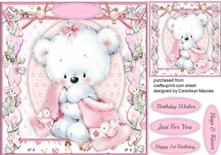 Cute Teddy With her Pink Blanket