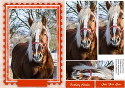 Beautiful Pyramid Horse