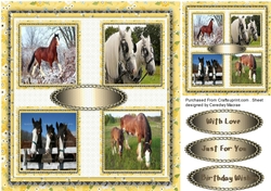 Shire Horses in a Box