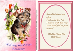 Wishing You a Fast Recovery , with Verse