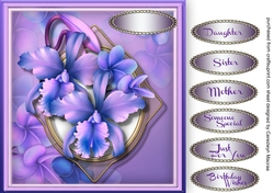 Beautiful Aloha Orchids