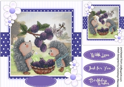 Hedgy Berry Treat,