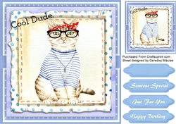 Beautiful Cool Dude Cat  