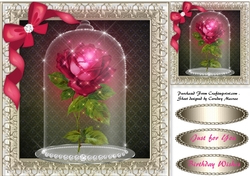 Pink Sparkle Rose in a Globe
