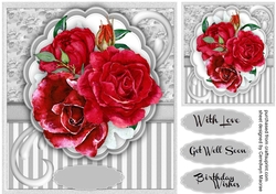 Stunning Red Roses