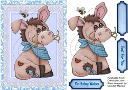 Dilly The Donkey