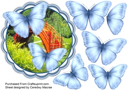 Beautiful Blue Butterflie on a scallopd mat 