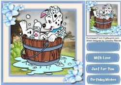A Bath in the Doggie Tub