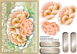 Beautiful Roses on a Buff mat