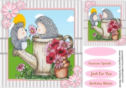 Hedgehog Popsy Daisy