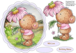 Happiness is a Beary Daisy