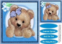 Cute Fuzzy Bear Blue