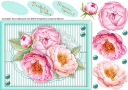 A5 Beautiful Pink Peony Roses