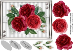 A5 Beautiful Red Roses