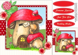 Hedgehog House 