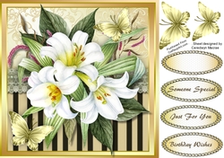 Beautiful Llillys and Butterflys 4