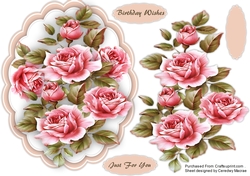 Beautiful Pink Klien Roses 