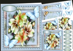 8x8 Mini Kit, Lillys , Berrys and Blue Butterflys
