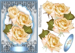 Beautiful Cream Rosss