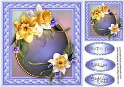 Beautiful Spring Glo Daffodils