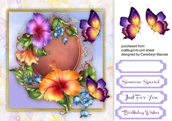 Beautiful Hibiscus and Lilac Butterflys