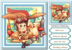 The Young Aviator