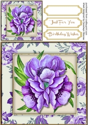 Stunning Lilac Anemones in a Flower Frame  2