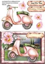 Lovely A5 Moped and Briar Roses