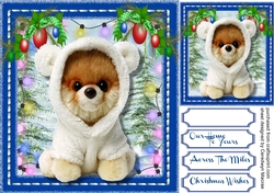 Cute Bear in his Winter Coat