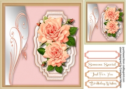 Beautiful Peach Rose