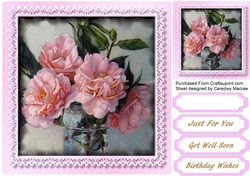 Pale Cerise roses in a lace Mat 