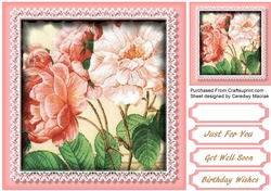 Stunning Pink roses in a lace Mat 