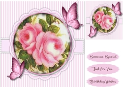 Beautiful Pink Rose and Butterflys