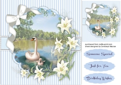 Beautiful Swans and Lillys 