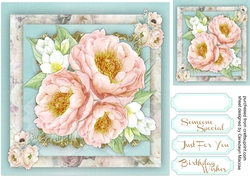 Beautiful Peonys and Blossom