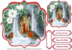 Robins in the Window .