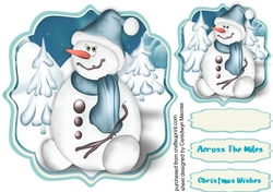 Snowman in the Snow  .