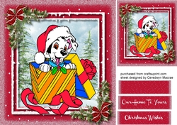 Suprise-Suprise Its Christmas