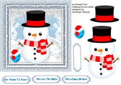 Snowman and Little Bird 1
