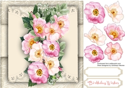 Beautiful Brier Roses on Sepia Lace