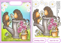 Hedgehog Popsy-Daisy 