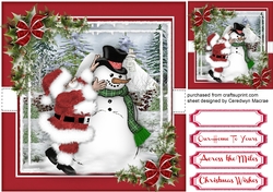 The Snowmans New Hat 