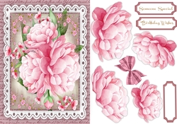Beautiful Pink Peony Roses on lace
