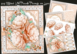 8x8 Mini Kit, Peach Peonys on Lace