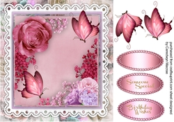 Beautiful Pink Roses and Butterflys