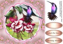 Beautiful Fushia and Humming Bird 