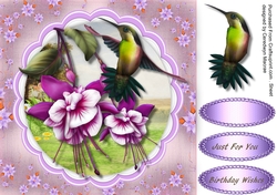 Beautiful Lilac Fushia and Humming Bird