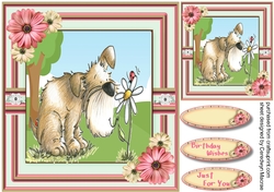 Smelling The Daisys